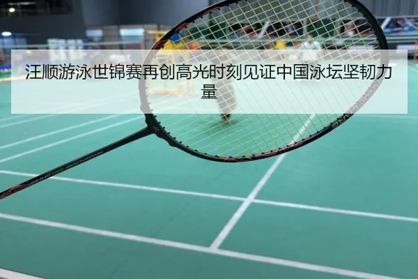 汪顺游泳世锦赛再创高光时刻见证中国泳坛坚韧力量