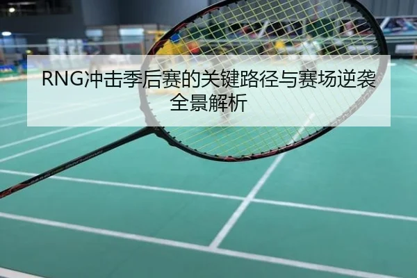RNG冲击季后赛的关键路径与赛场逆袭全景解析