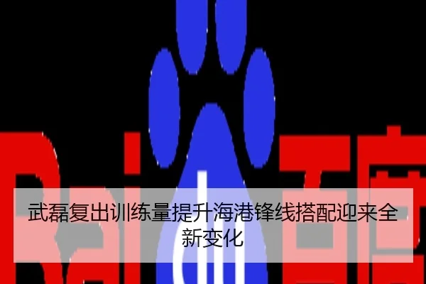 武磊复出训练量提升海港锋线搭配迎来全新变化